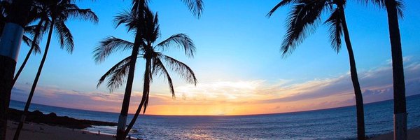 NealTaunt Profile Banner