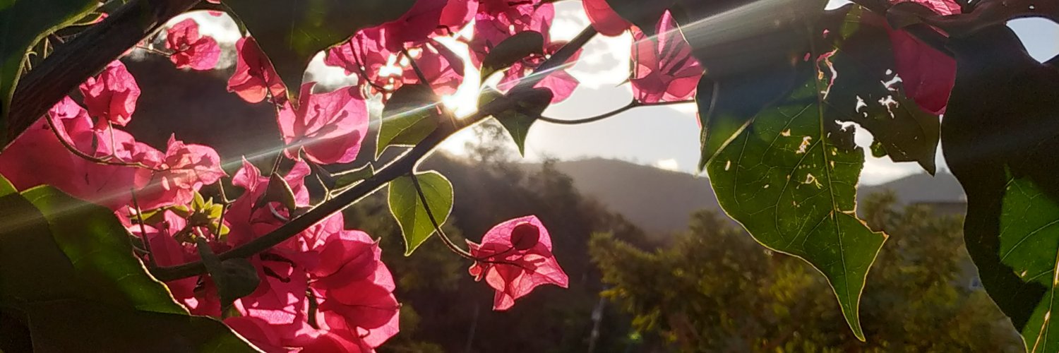 mirllendydm's profile banner image