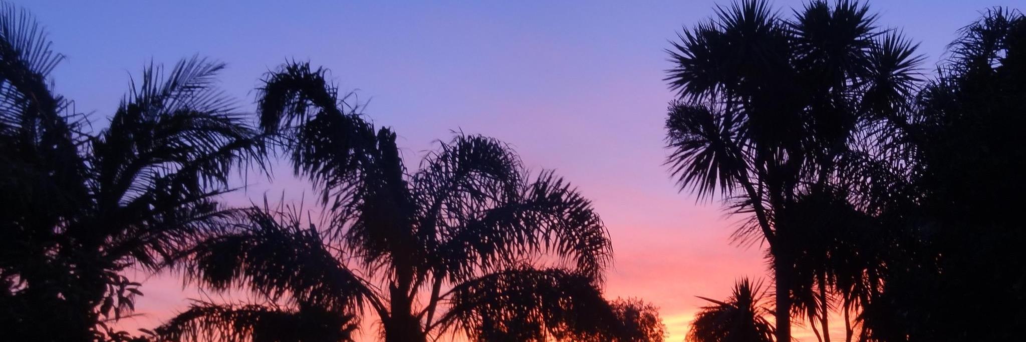 AverillDickson's profile banner image