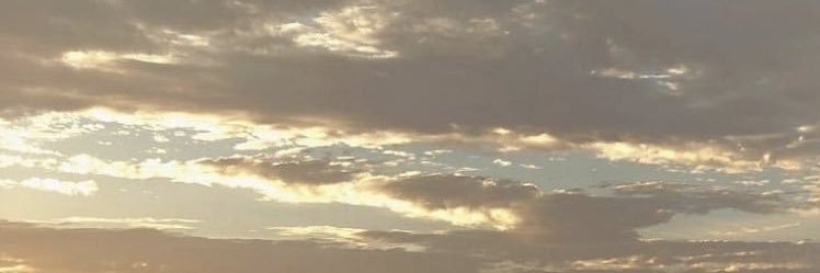 vxoII_'s profile banner image