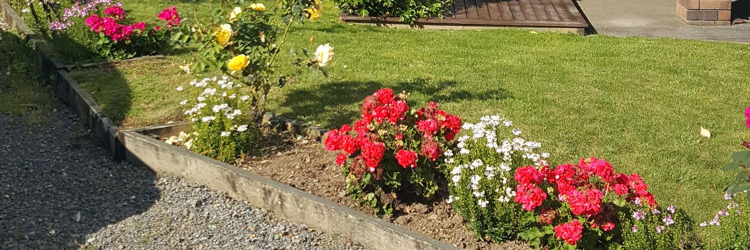 fionaRcooper's profile banner image