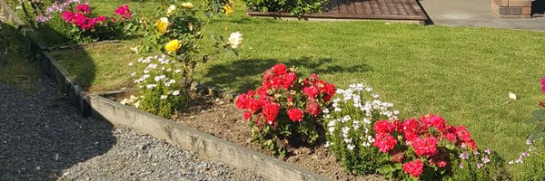 fionaRcooper Profile Banner