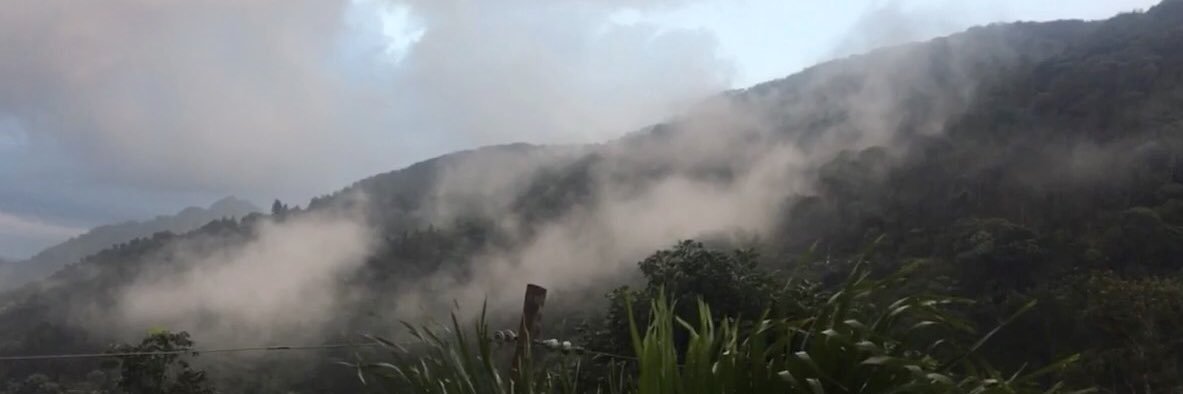 Promedio_Person's profile banner image