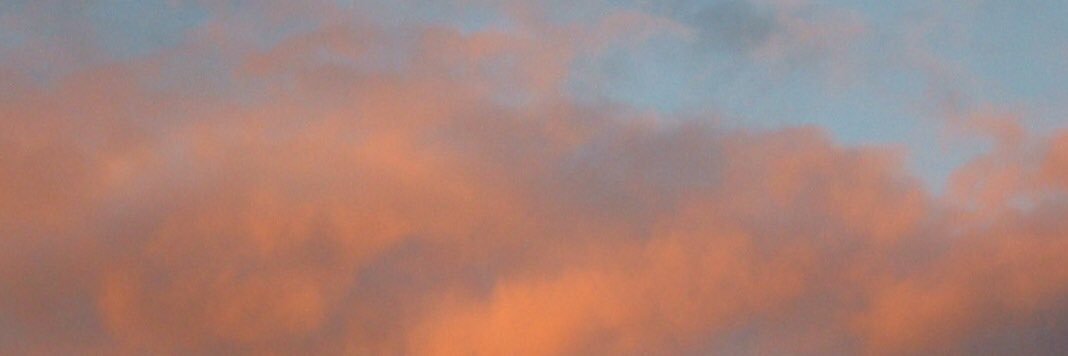 Birgitte Wederking banner