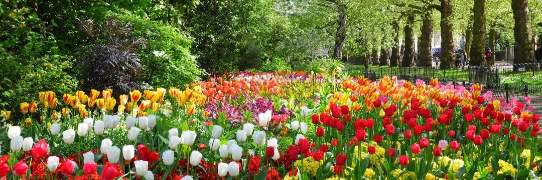 Neil Redknap 🌎 🏳️‍🌈 banner