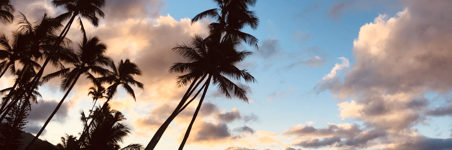 LaceSalas's profile banner image