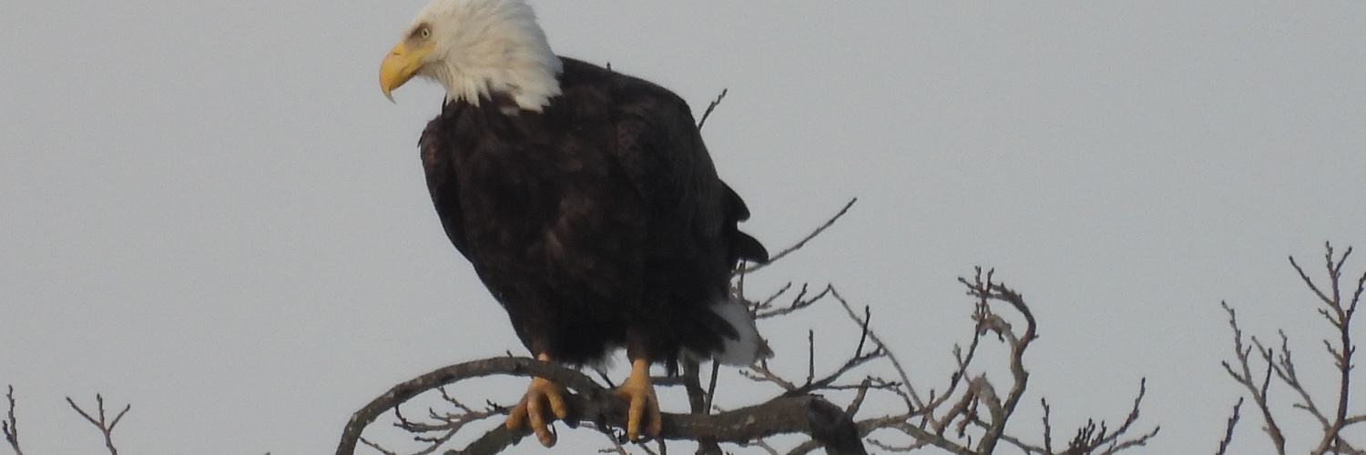 dan_kammen's profile banner image