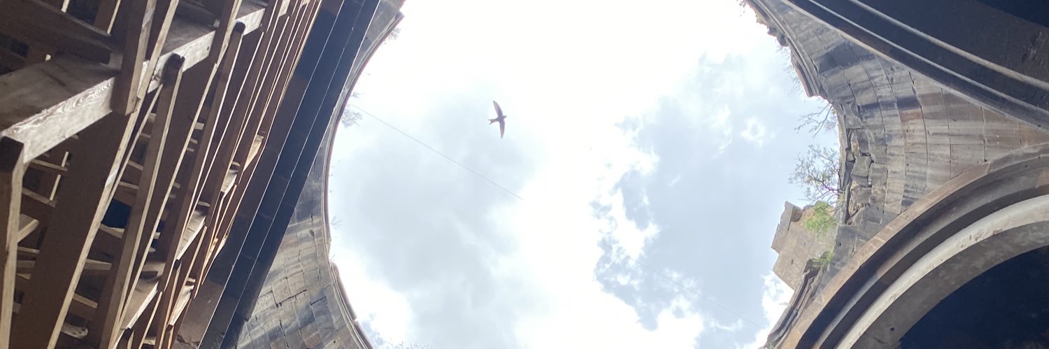 TraderHalil's profile banner image