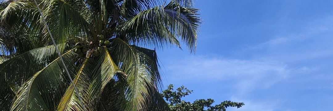 Sean_Qt2's profile banner image