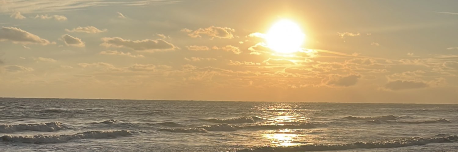 PoppyFinley's profile banner image