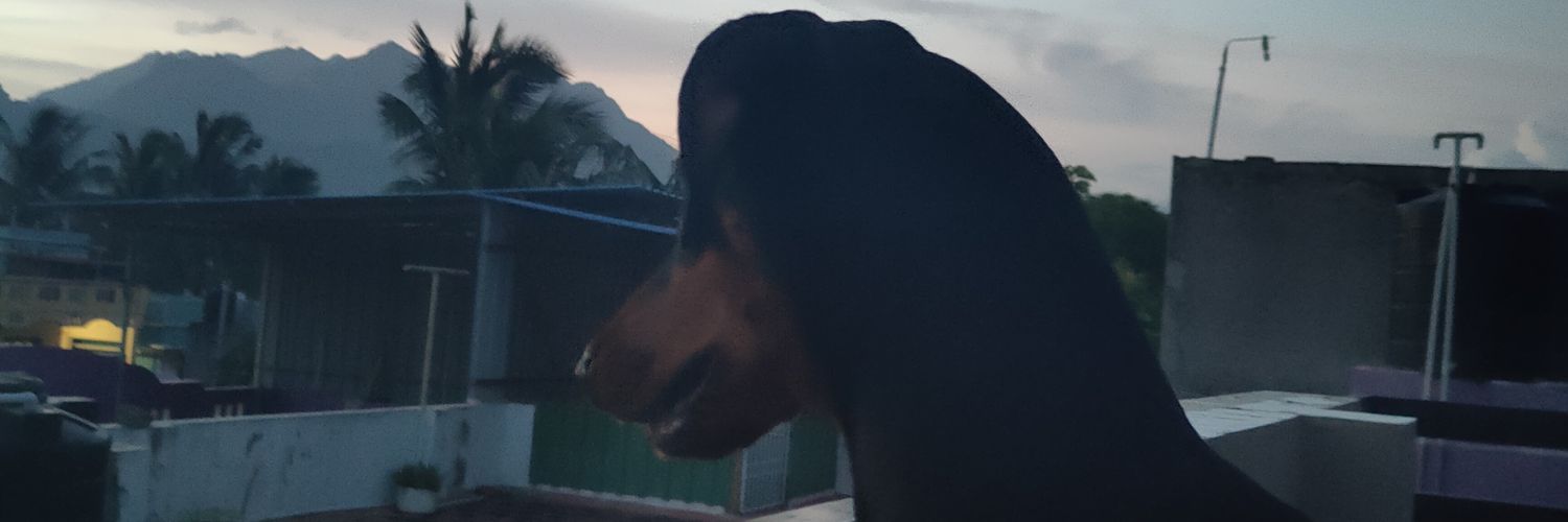 VNOG's profile banner image