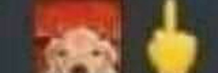 bubbievee's profile banner image