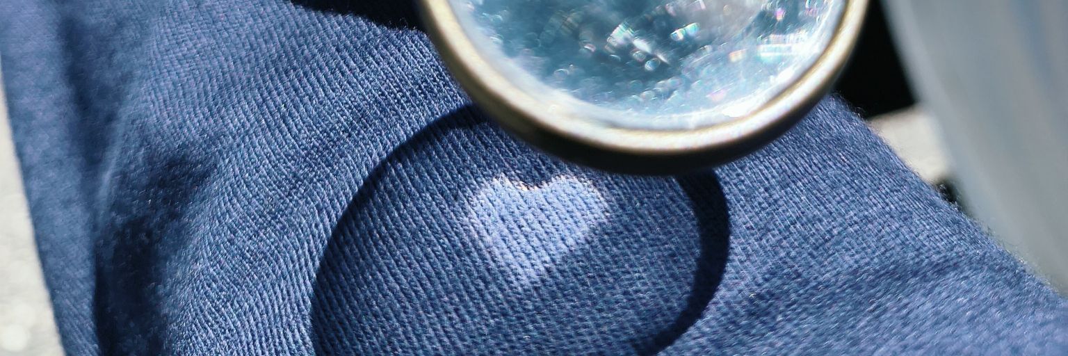 31030024Y's profile banner image
