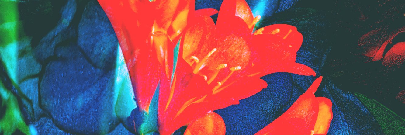 underk_hill's profile banner image