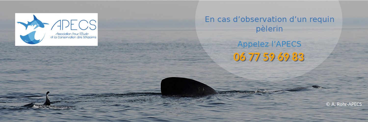 Association APECS banner