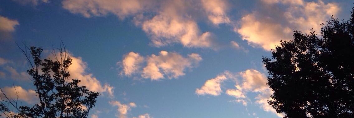Kate_Atyeo's profile banner image