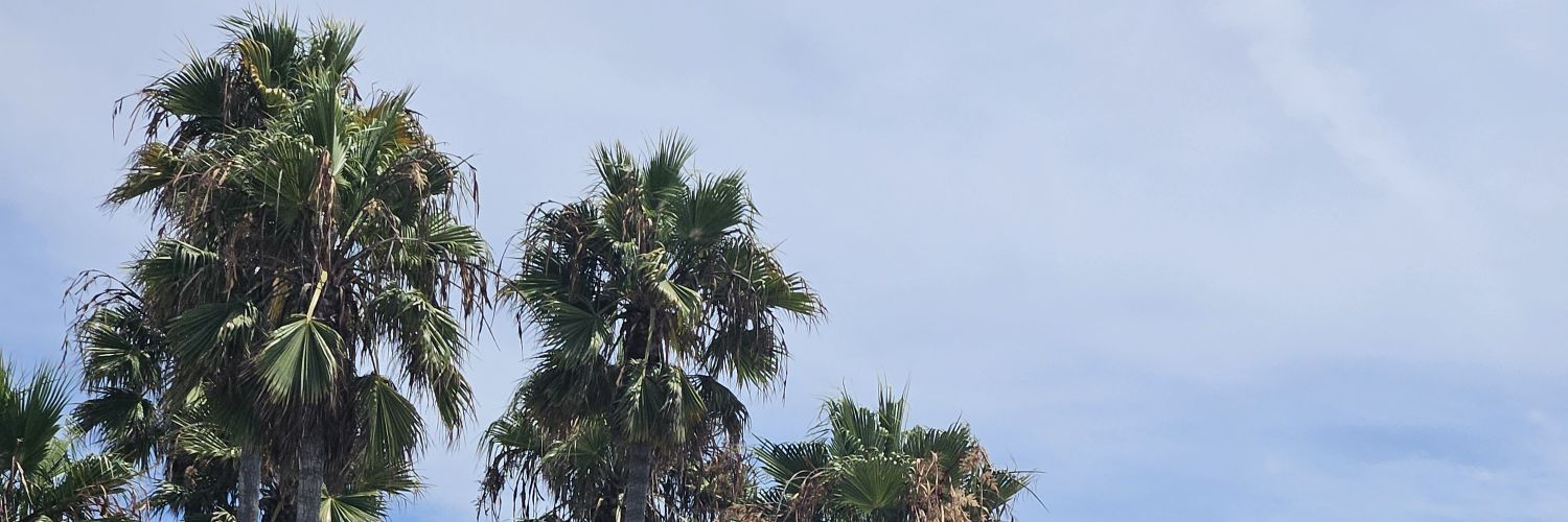 AnnaGullion's profile banner image