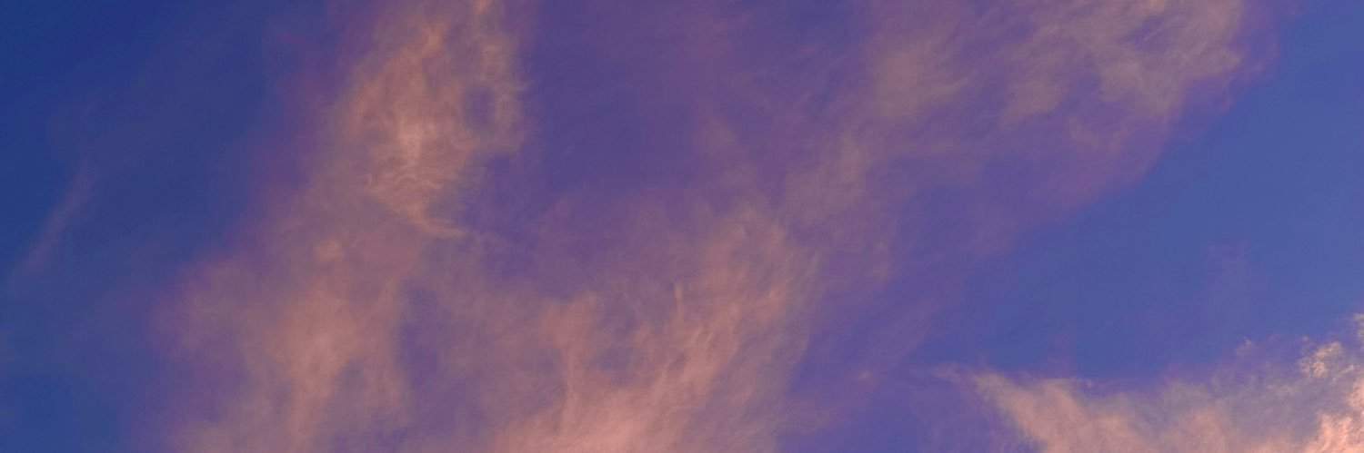 nikkidrost9's profile banner image