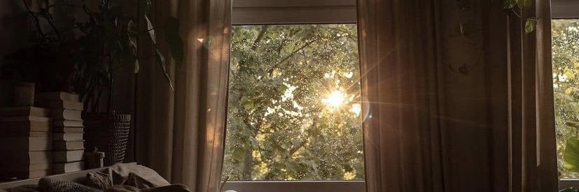 ssammyreyess's profile banner image