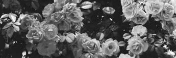 kn0tzari's profile banner image
