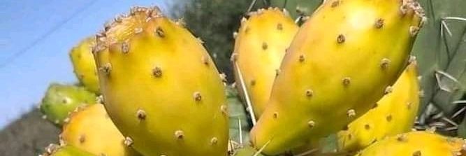 Nyarmwanda's profile banner image