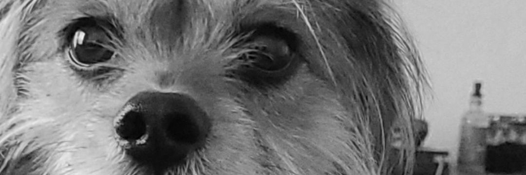 THutch2008's profile banner image