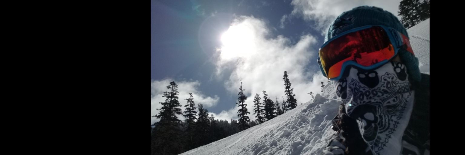 rob_e_bee's profile banner image