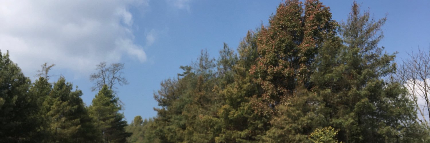 reddevilisha7's profile banner image