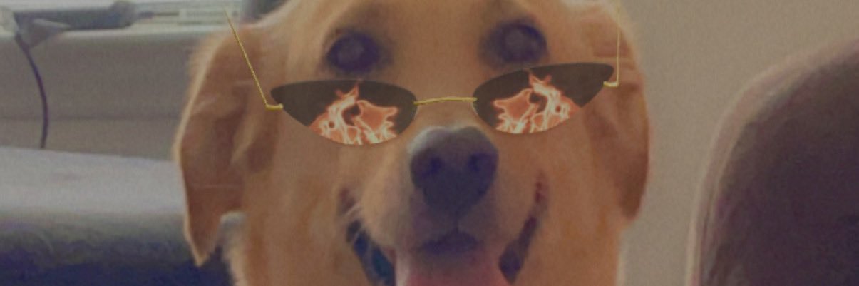 Coortaknee's profile banner image