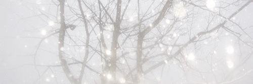 stylesloveromg's profile banner image