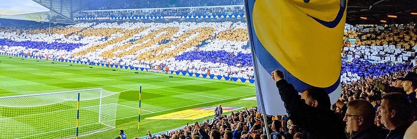 Ethan #BillsMafia banner