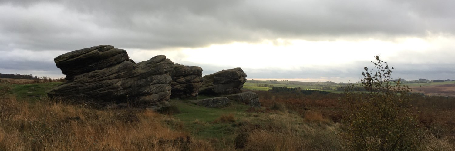 Annette Lokier banner