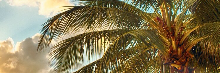 uetheusin's profile banner image
