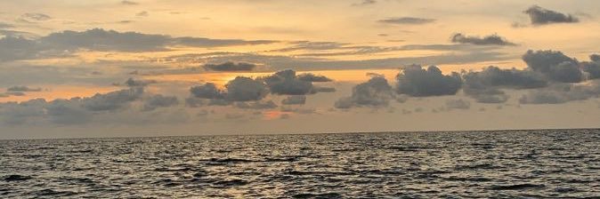 meloonhoee's profile banner image