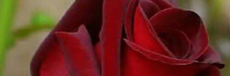 wafaam2015's profile banner image