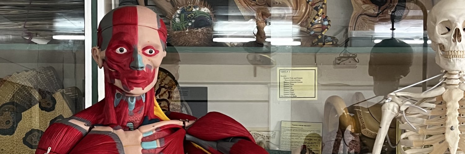 GeaBeloya's profile banner image