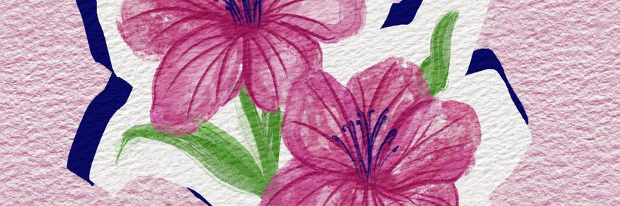 cutvifde's profile banner image
