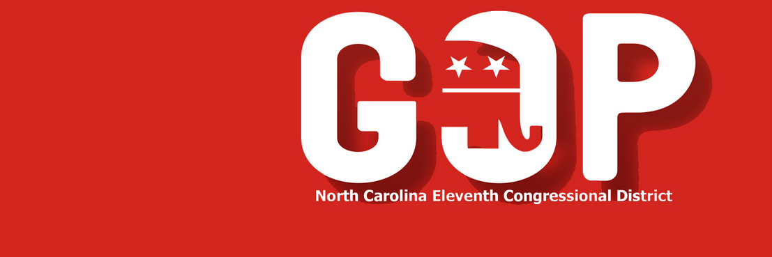NCGOP11's profile banner image