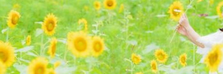 hiromidog's profile banner image