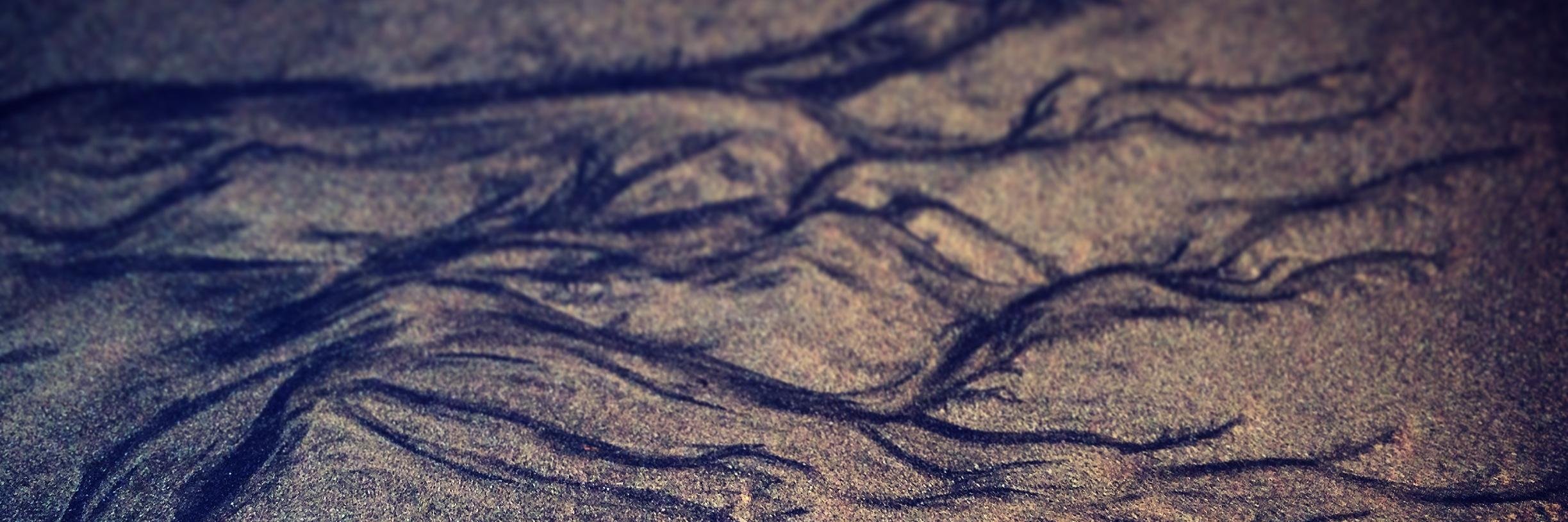 IEPrainsack's profile banner image