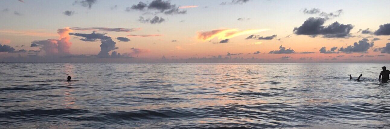 KayMcCall20's profile banner image