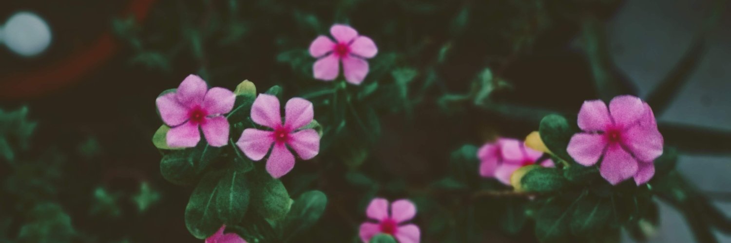 AS101__'s profile banner image