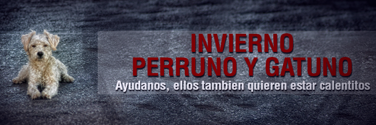 InviernoPyG's profile banner image