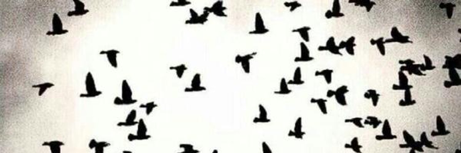 at107sa's profile banner image