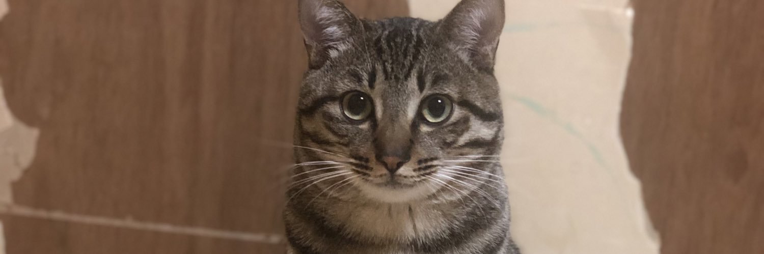 gdumvj's profile banner image