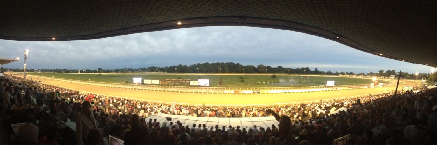 Meri Gallinal banner