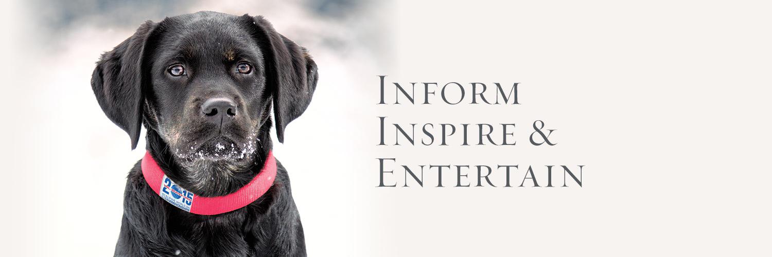 Vail Valley Magazine banner