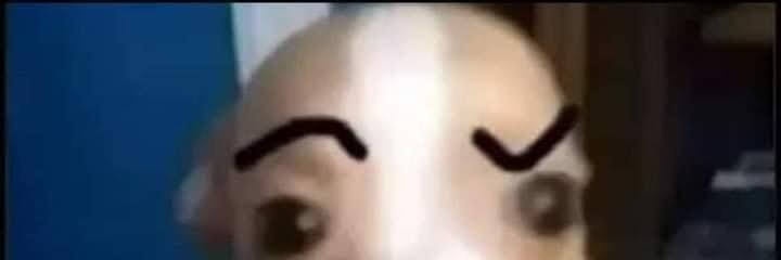 alizboyso's profile banner image