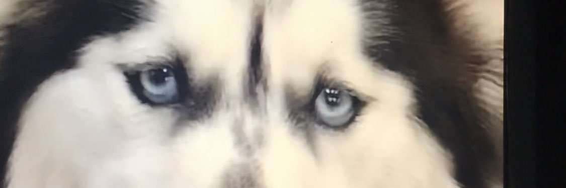kbernhardt5_b's profile banner image