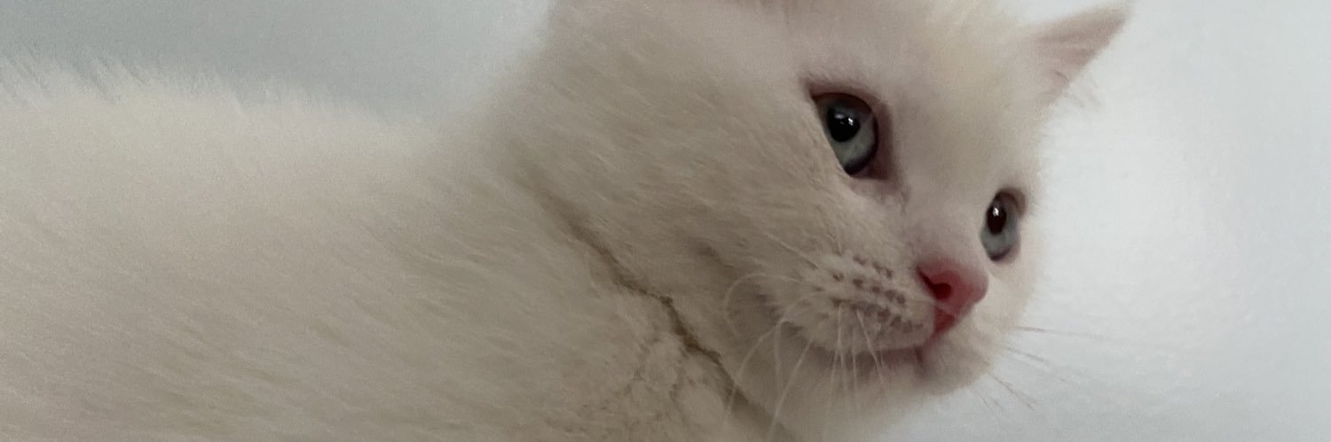 yaskodayi's profile banner image